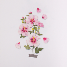 Load image into Gallery viewer, Pressed Flower Sticker - Rose of Sharon