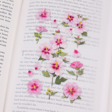Load image into Gallery viewer, Pressed Flower Sticker - Rose of Sharon