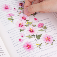 Load image into Gallery viewer, Pressed Flower Sticker - Rose of Sharon