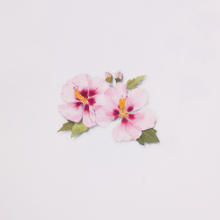 Load image into Gallery viewer, Pressed Flower Sticker - Rose of Sharon