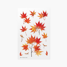 Load image into Gallery viewer, Pressed Flower Sticker - Palmate Maple