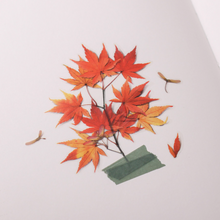 Load image into Gallery viewer, Pressed Flower Sticker - Palmate Maple
