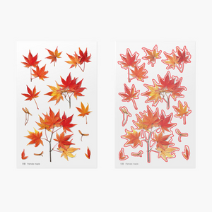 Pressed Flower Sticker - Palmate Maple