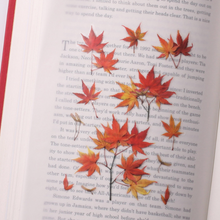 Load image into Gallery viewer, Pressed Flower Sticker - Palmate Maple