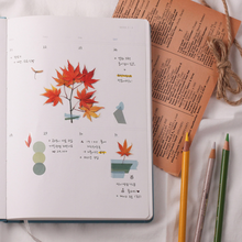 Load image into Gallery viewer, Pressed Flower Sticker - Palmate Maple