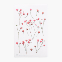 Load image into Gallery viewer, Pressed Flower Sticker - Gypsophila