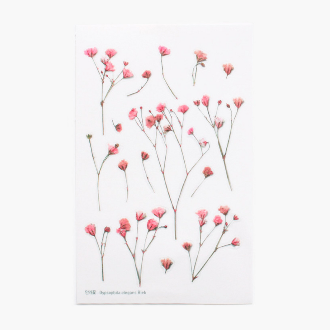 Pressed Flower Sticker - Gypsophila