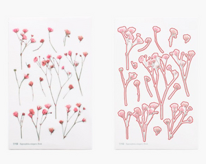 Pressed Flower Sticker - Gypsophila