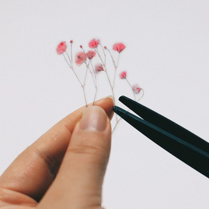 Pressed Flower Sticker - Gypsophila