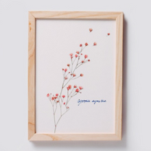 Load image into Gallery viewer, Pressed Flower Sticker - Gypsophila