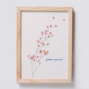 Pressed Flower Sticker - Gypsophila