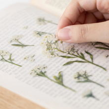 Load image into Gallery viewer, Pressed Flower Sticker - Sweet Alyssum