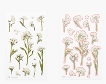 Load image into Gallery viewer, Pressed Flower Sticker - Sweet Alyssum