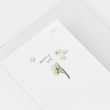 Load image into Gallery viewer, Pressed Flower Sticker - Sweet Alyssum