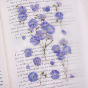 Pressed Flower Sticker - Flax