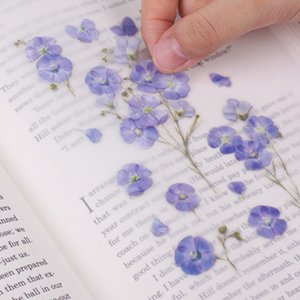 Pressed Flower Sticker - Flax