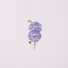Load image into Gallery viewer, Pressed Flower Sticker - Flax