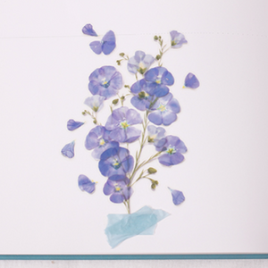 Pressed Flower Sticker - Flax