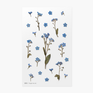 Pressed Flower Sticker - Forget Me Not