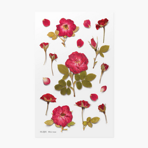 Pressed Flower Sticker - Mini Rose