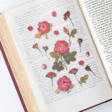 Load image into Gallery viewer, Pressed Flower Sticker - Mini Rose