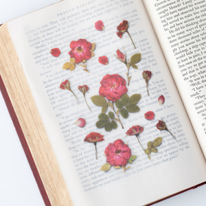 Pressed Flower Sticker - Mini Rose