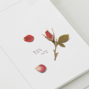 Pressed Flower Sticker - Mini Rose