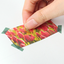 Load image into Gallery viewer, Nature Sticker - Butterfly