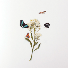 Load image into Gallery viewer, Nature Sticker - Butterfly