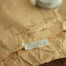 Load image into Gallery viewer, Swan Washi Tape - 22