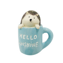 Load image into Gallery viewer, Miniature Hedgehogs