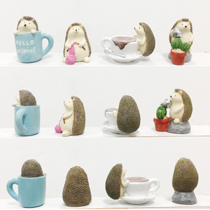 Miniature Hedgehogs