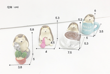 Load image into Gallery viewer, Miniature Hedgehogs