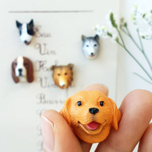 Puppy Magnets - 5 Piece Set