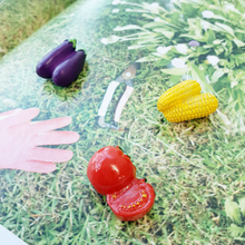 Load image into Gallery viewer, Vegetable Magnets - 5 Piece Set