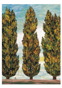 Cypress - Postcard