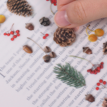 Load image into Gallery viewer, Nature Sticker - Pine Road