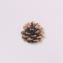 Load image into Gallery viewer, Nature Sticker - Pine Road