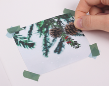 Load image into Gallery viewer, Nature Sticker - Pine Road