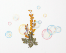 Load image into Gallery viewer, Nature Sticker - Soap Bubble