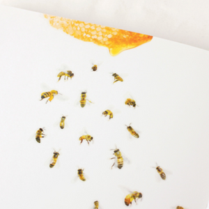 Nature Sticker - Honeybee