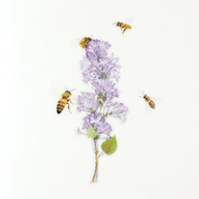 Load image into Gallery viewer, Nature Sticker - Honeybee