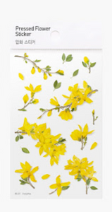 Pressed Flower Sticker - Forsythia