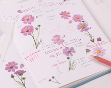 Load image into Gallery viewer, Pressed Flower Sticker - Cosmos