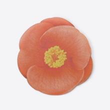 Load image into Gallery viewer, Sticky Leaf - Memo Notes - Camellia (Small)