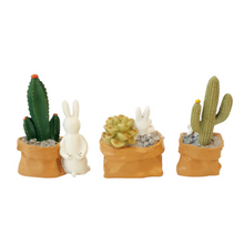 Load image into Gallery viewer, Miniature Plant Bunnies