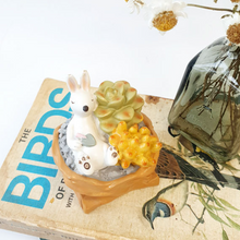Load image into Gallery viewer, Miniature Plant Bunnies
