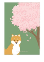 Load image into Gallery viewer, Sakura Shiba Postcard