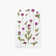 Load image into Gallery viewer, Pressed Flower Sticker - Globe Amaranth