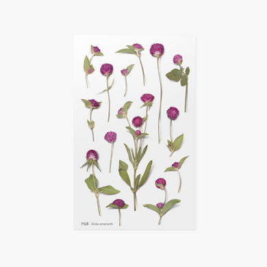 Pressed Flower Sticker - Globe Amaranth